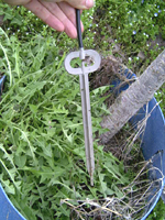 クリックすると大きな画像が出てきます。