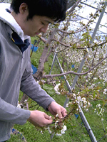 クリックすると大きな画像が出てきます。