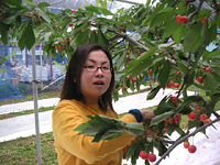 クリックすると大きな画像が出てきます。