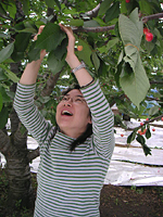 クリックすると大きな画像が出てきます。