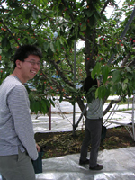 クリックすると大きな画像が出てきます。