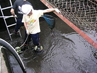 クリックすると大きな画像が出てきます。