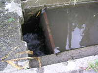 クリックすると大きな画像が出てきます。