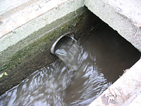 クリックすると大きな画像が出てきます。