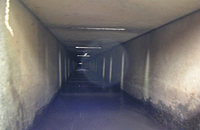 クリックすると大きな画像が出てきます。