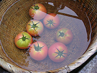 クリックすると大きな画像が出てきます。