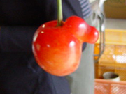 クリックすると大きな画像が出てきます。