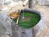 クリックすると大きな画像が出てきます。