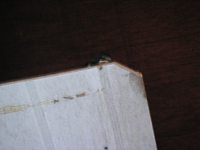 クリックすると大きな画像が出てきます。