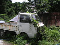 クリックすると大きな画像が出てきます。