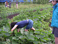 クリックすると大きな画像が出てきます。