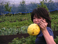 クリックすると大きな画像が出てきます。