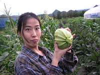 クリックすると大きな画像が出てきます。