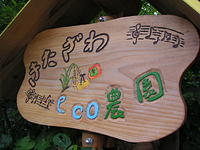 クリックすると大きな画像が出てきます。