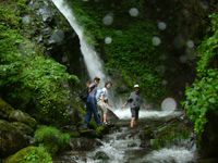 クリックすると大きな画像が出てきます。