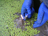 クリックすると大きな画像が出てきます。