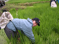 クリックすると大きな画像が出てきます。