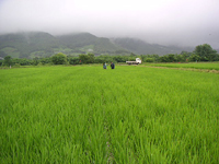 クリックすると大きな画像が出てきます。