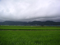 クリックすると大きな画像が出てきます。