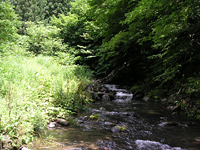 クリックすると大きな画像が出てきます。