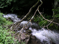 クリックすると大きな画像が出てきます。