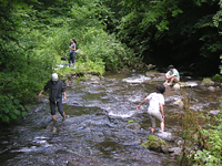 クリックすると大きな画像が出てきます。