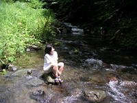 クリックすると大きな画像が出てきます。