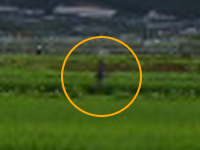 クリックすると大きな画像が出てきます。