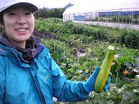 クリックすると大きな画像が出てきます。