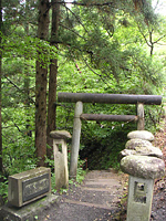 クリックすると大きな画像が出てきます。