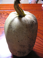 クリックすると大きな画像が出てきます。