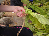 クリックすると大きな画像が出てきます。