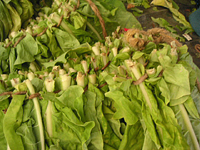 クリックすると大きな画像が出てきます。