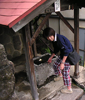 クリックすると大きな画像が出てきます。