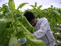 クリックすると大きな画像が出てきます。