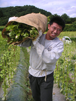 クリックすると大きな画像が出てきます。