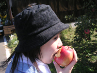 クリックすると大きな画像が出てきます。