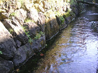 クリックすると大きな画像が出てきます。