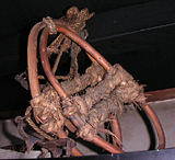 クリックすると大きな画像が出てきます。