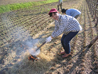 クリックすると大きな画像が出てきます。