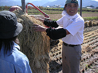 クリックすると大きな画像が出てきます。