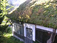 クリックすると大きな画像が出てきます。