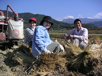 クリックすると大きな画像が出てきます。