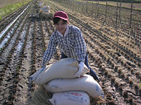 クリックすると大きな画像が出てきます。