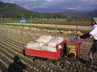 クリックすると大きな画像が出てきます。