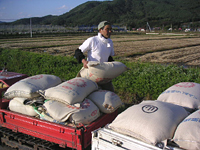 クリックすると大きな画像が出てきます。