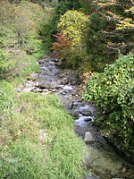 クリックすると大きな画像が出てきます。