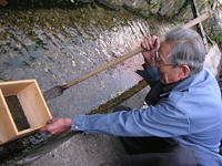 クリックすると大きな画像が出てきます。