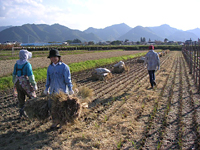 クリックすると大きな画像が出てきます。