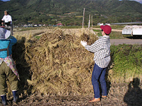 クリックすると大きな画像が出てきます。